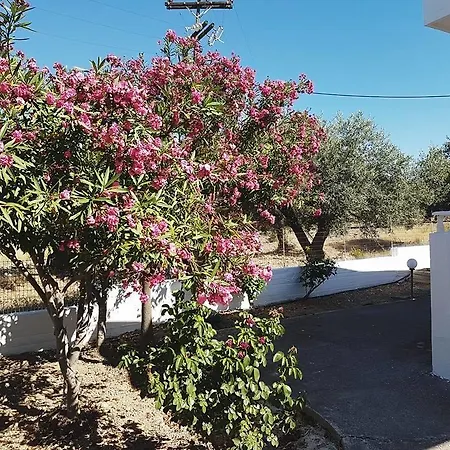 Chrisanthi Guest house Haraki