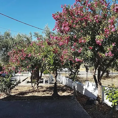 Pensión Chrisanthi Charaki